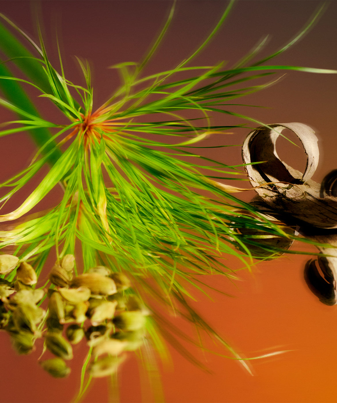 Santal™ - AromaTech Inc.