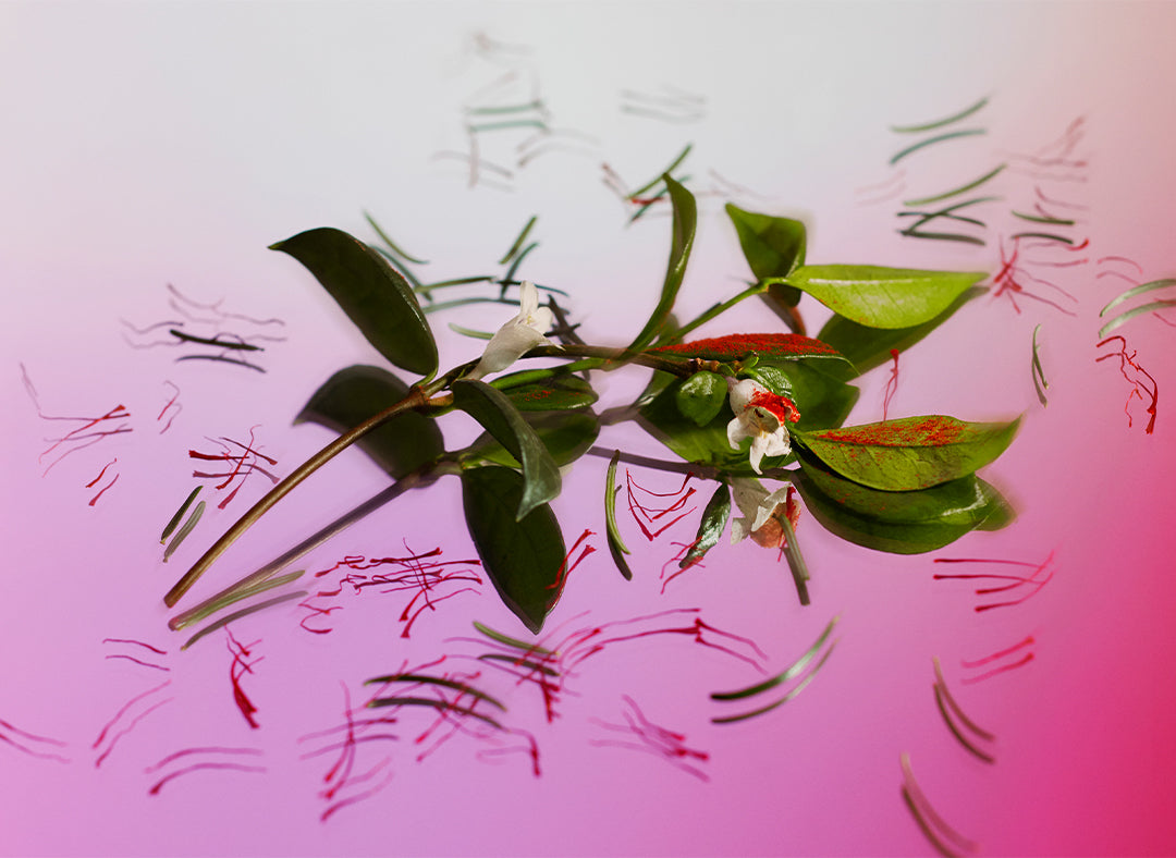 Love affair scent