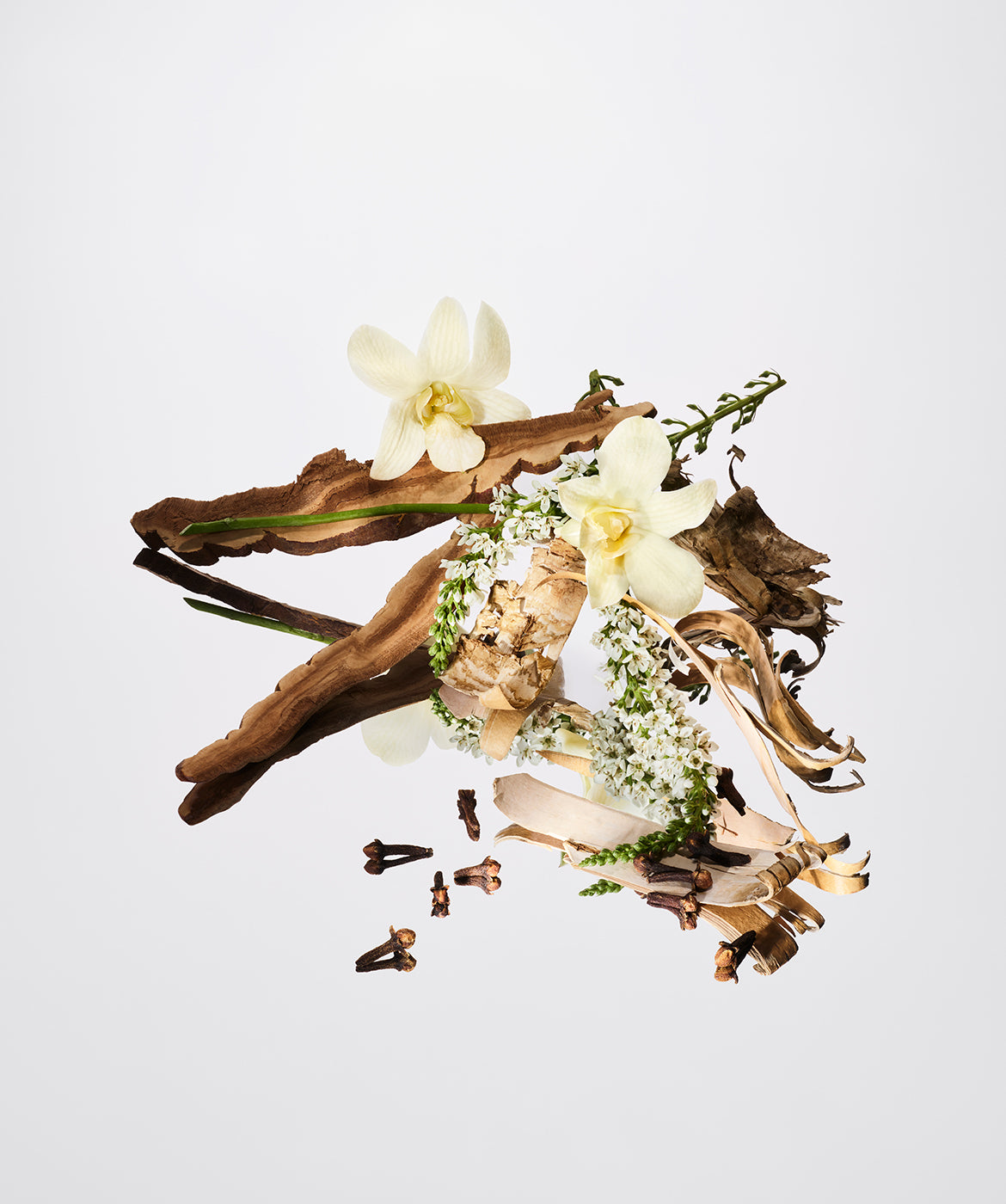 Santal Vanilla™ - AromaTech Inc.