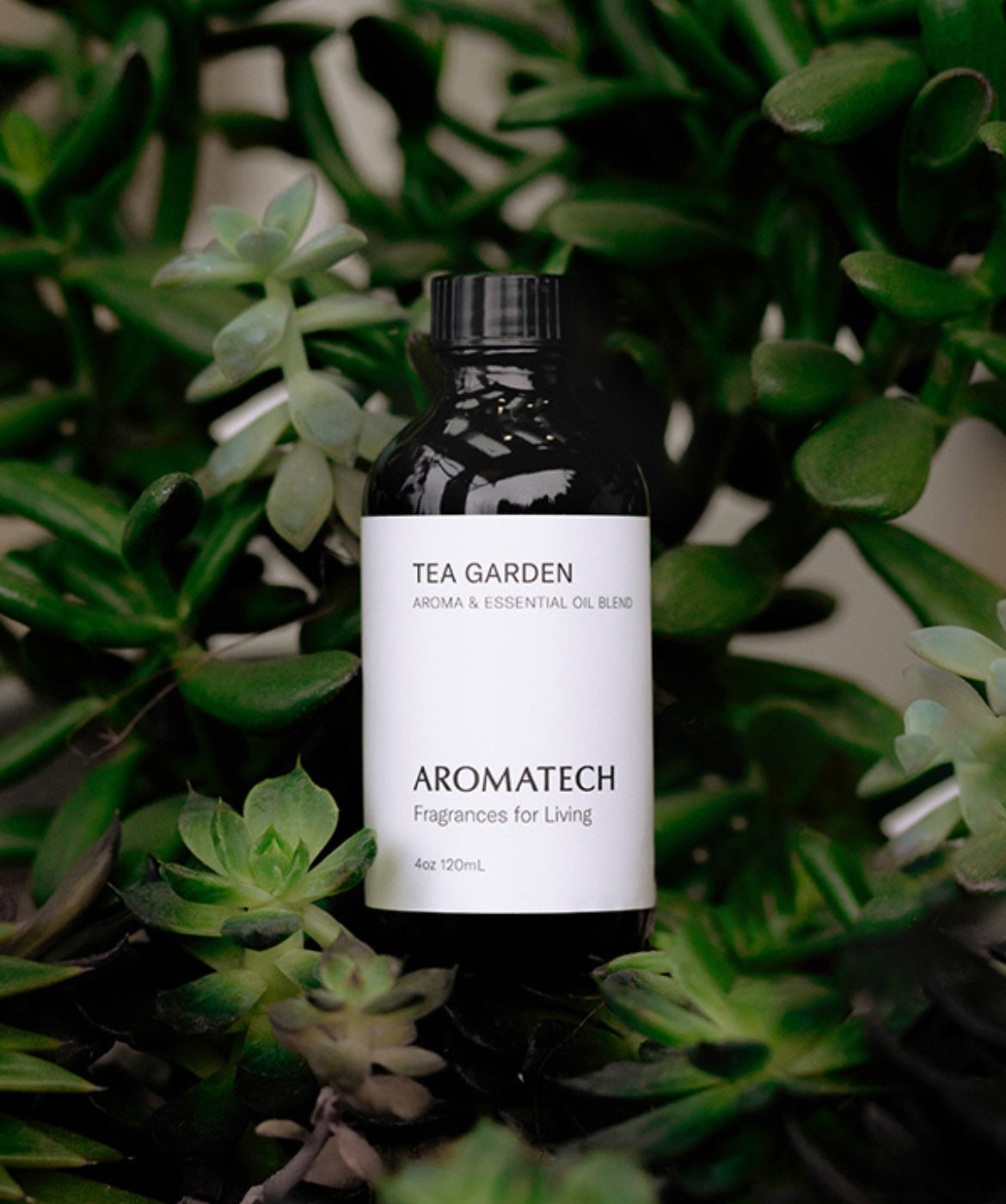 Tea Garden™ - AromaTech Inc.