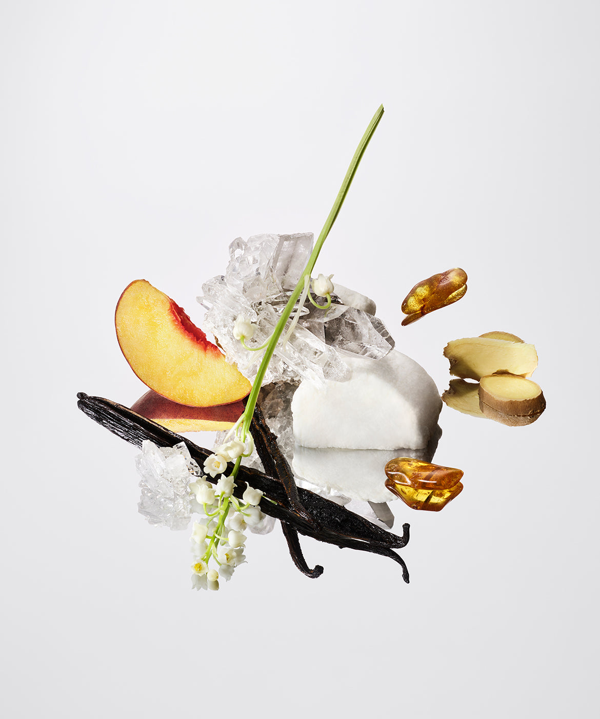 The Vanilla™ - AromaTech Inc.