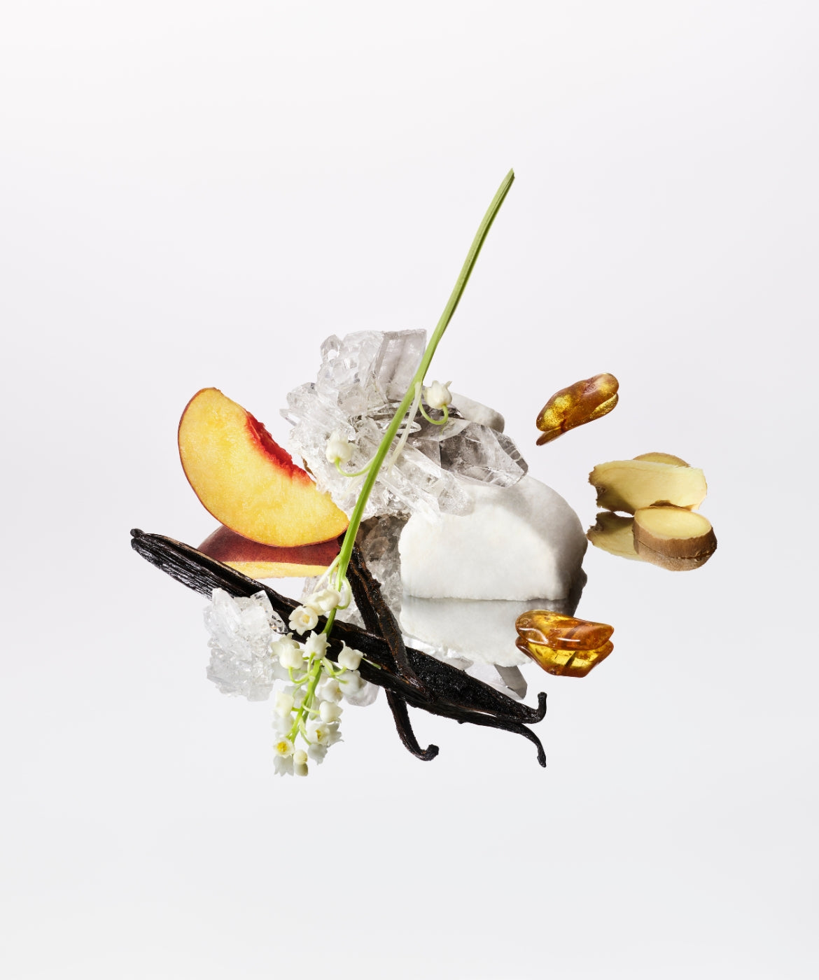 The Vanilla Collection - AromaTech Inc.